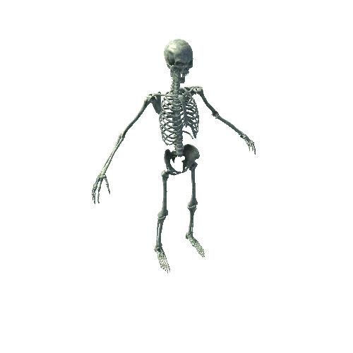 SK_Samurai_Skeleton_Modular (2)